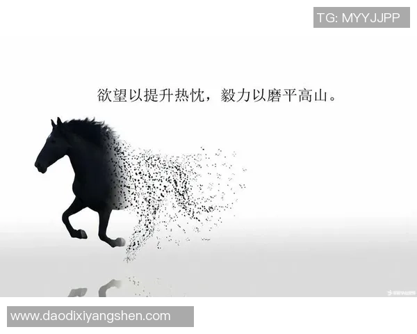 足球贺楠：从绿茵场到人生舞台的奋斗与荣耀之路