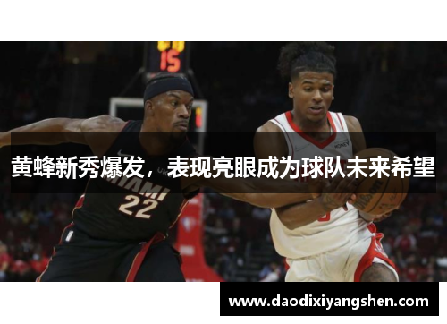 黄蜂新秀爆发，表现亮眼成为球队未来希望