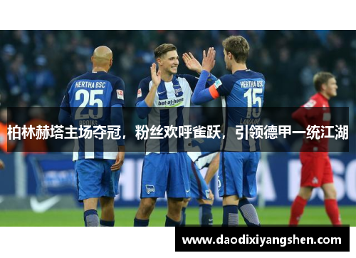 柏林赫塔主场夺冠，粉丝欢呼雀跃，引领德甲一统江湖