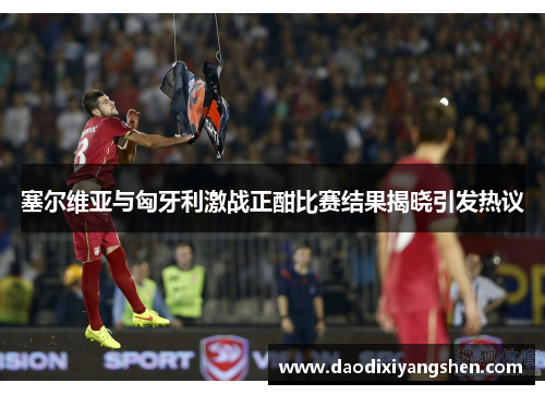 塞尔维亚与匈牙利激战正酣比赛结果揭晓引发热议