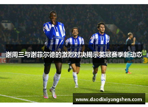 谢周三与谢菲尔德的激烈对决揭示英冠赛季新动态