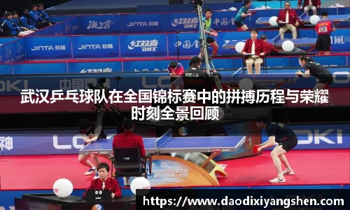 球速体育平台登录入口