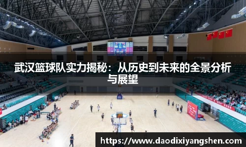 武汉篮球队实力揭秘：从历史到未来的全景分析与展望