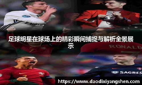 足球明星在球场上的精彩瞬间捕捉与解析全景展示