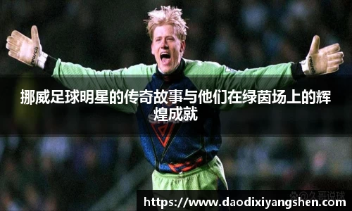 挪威足球明星的传奇故事与他们在绿茵场上的辉煌成就