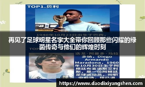 再见了足球明星名字大全带你回顾那些闪耀的绿茵传奇与他们的辉煌时刻
